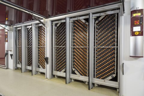 Effect of lighted incubation from set till hatch on hatch moment and chick development