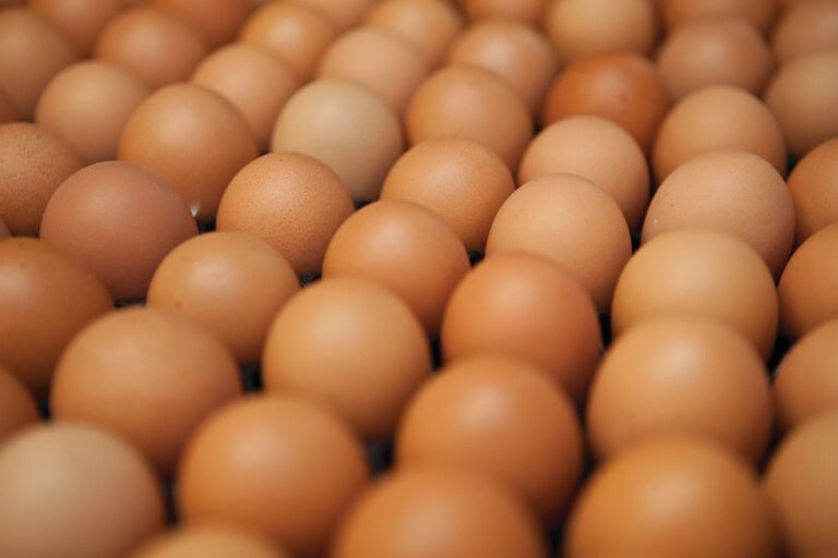 Floor eggs are not hatching eggs