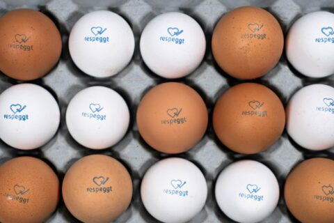 Respeggt Eggs introduced in Dutch Supermarket