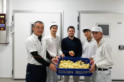 A perfect start for Japans first HatchTech Hatchery at Fukuda Breeders