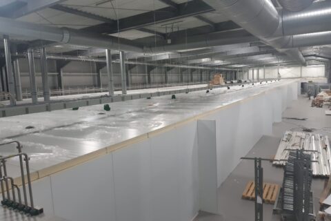 Modern Hatch continues growth with HatchCare in Poland