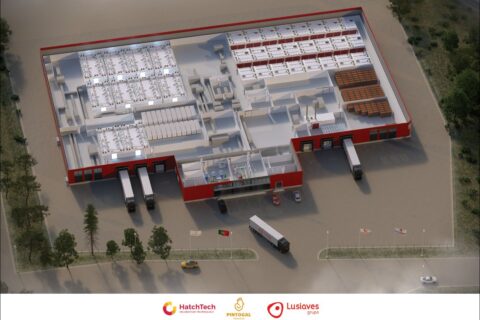Grupo Lusiaves Launches State-of-the-Art HatchCare Incubation Plan in Pombal, Portugal