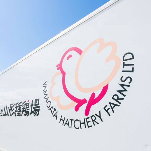 Big News from Japan