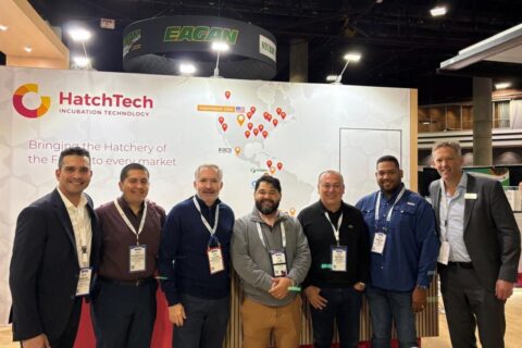 A New Partnership in the Mexican Poultry Market