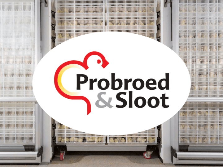Probroed & Sloot