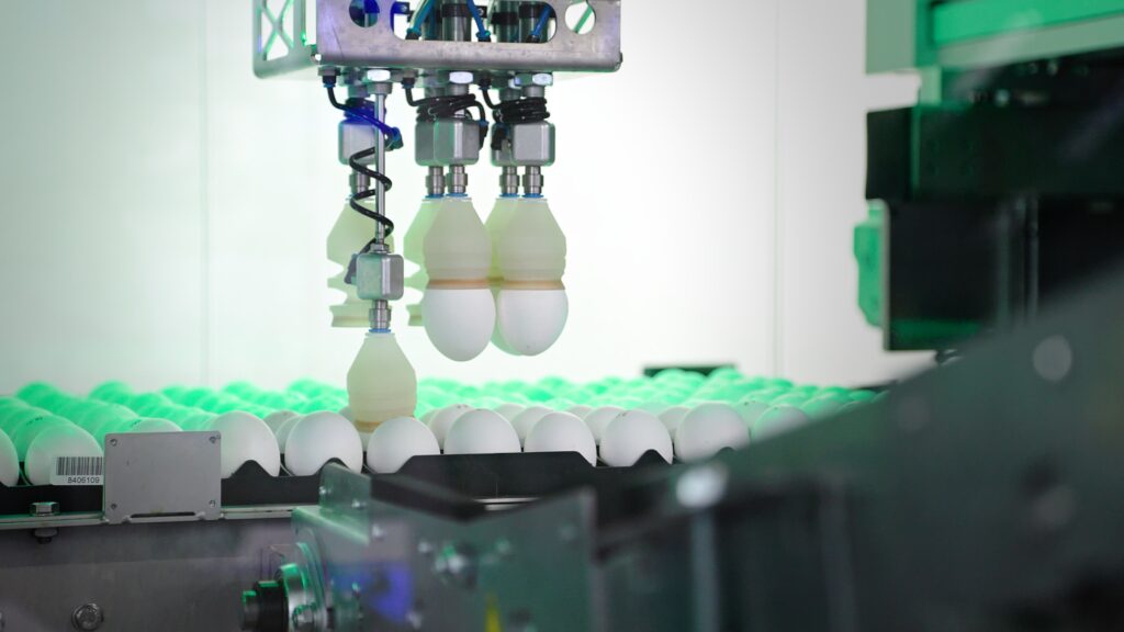 Three-Phase Incubation