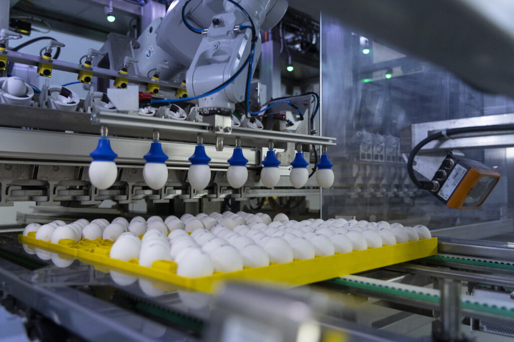 Three-Phase Incubation