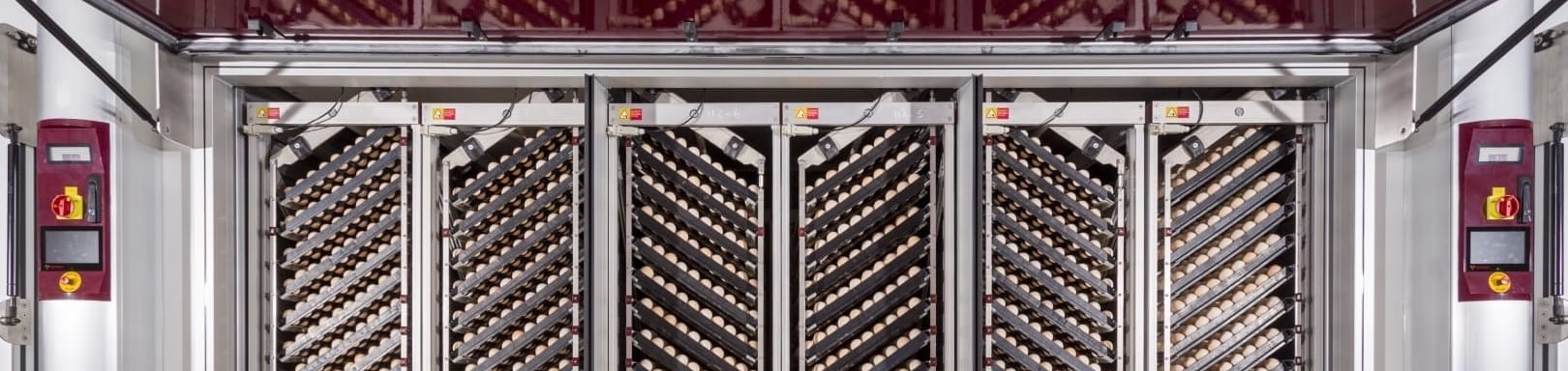 Hatchery products that creates superior chick quality - HatchTech