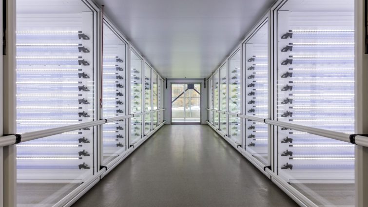 HatchCare at VIV Europe 2026