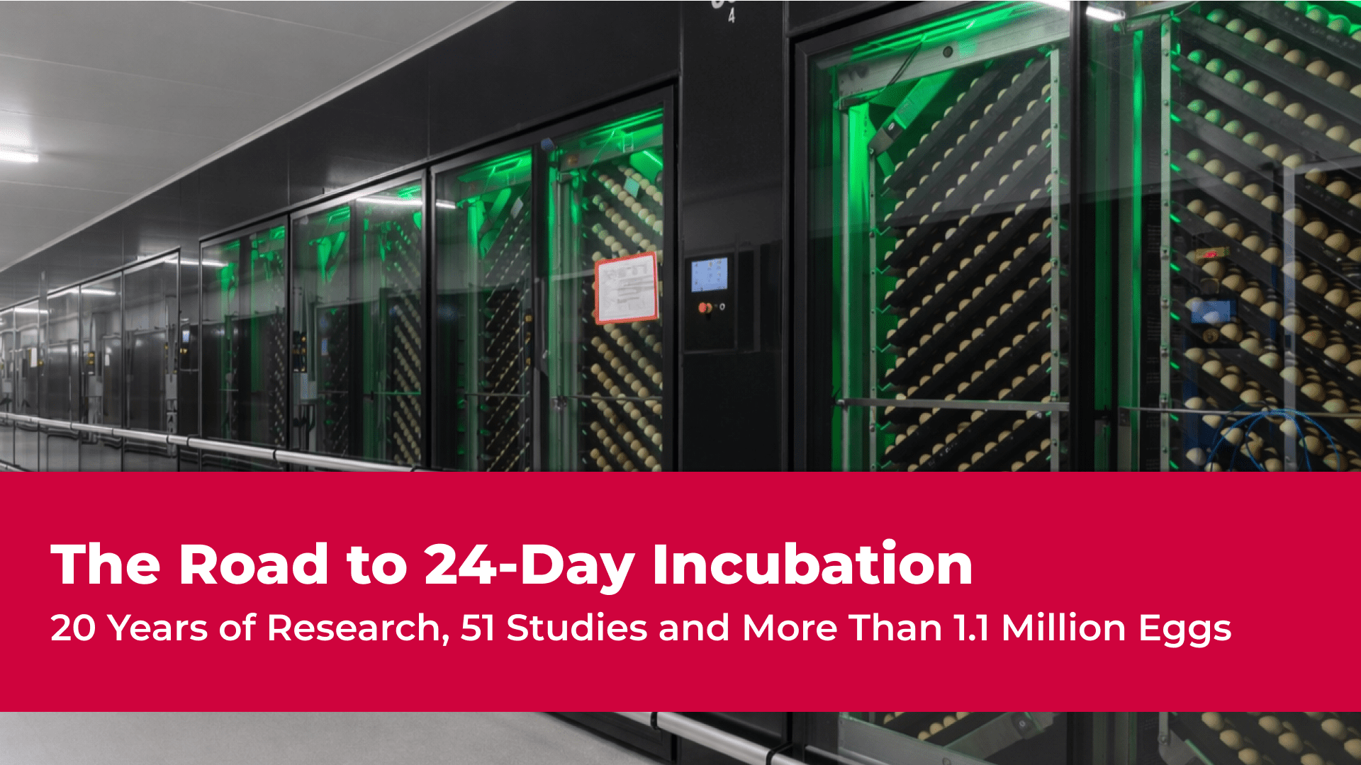 The road to 24-day incubation